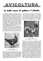 giornale/LO10010767/1934/V.1/00000051
