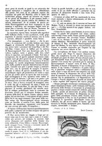 giornale/LO10010767/1934/V.1/00000092