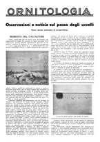 giornale/LO10010767/1934/V.1/00000117