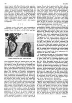 giornale/LO10010767/1934/V.1/00000150