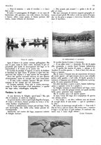 giornale/LO10010767/1934/V.1/00000167