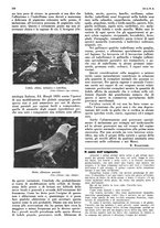 giornale/LO10010767/1934/V.1/00000256