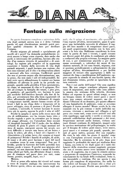 Diana rivista venatoria quindicinale