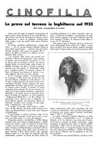 giornale/LO10010767/1934/V.1/00000307