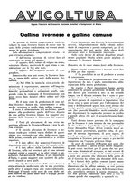 giornale/LO10010767/1934/V.1/00000325