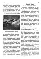 giornale/LO10010767/1934/V.1/00000365