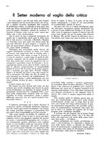 giornale/LO10010767/1934/V.1/00000378