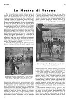 giornale/LO10010767/1934/V.1/00000379