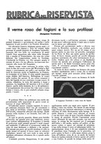 giornale/LO10010767/1934/V.1/00000441