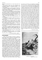 giornale/LO10010767/1934/V.1/00000541