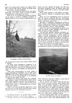 giornale/LO10010767/1934/V.1/00000636