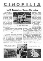 giornale/LO10010767/1934/V.1/00000647
