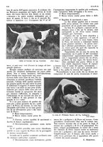 giornale/LO10010767/1934/V.1/00000720