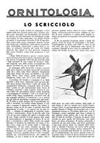 giornale/LO10010767/1934/V.1/00000733