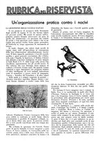 giornale/LO10010767/1934/V.1/00000783