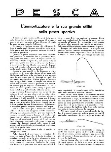 Diana rivista venatoria quindicinale