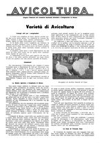 giornale/LO10010767/1934/V.2/00000121