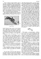 giornale/LO10010767/1934/V.2/00000160