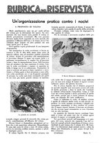 giornale/LO10010767/1934/V.2/00000173