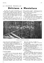 giornale/LO10010767/1934/V.2/00000227