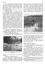 giornale/LO10010767/1934/V.2/00000229