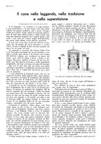 giornale/LO10010767/1934/V.2/00000253