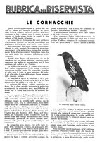 giornale/LO10010767/1934/V.2/00000309