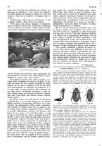 giornale/LO10010767/1935/unico/00000178