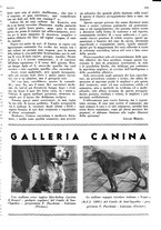 giornale/LO10010767/1935/unico/00000237