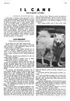 giornale/LO10010767/1935/unico/00000301