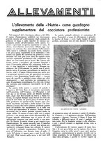 giornale/LO10010767/1935/unico/00000381