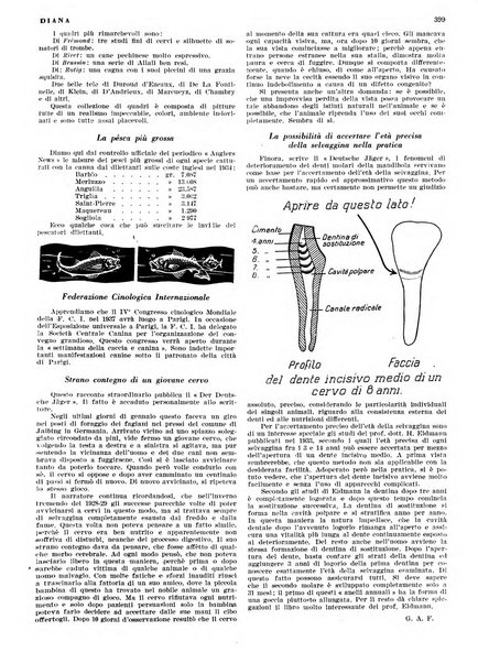 Diana rivista venatoria quindicinale