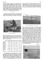 giornale/LO10010767/1935/unico/00000685