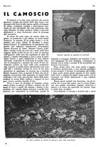 giornale/LO10010767/1935/unico/00000687