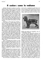 giornale/LO10010767/1935/unico/00000983