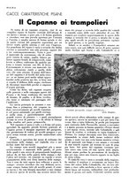giornale/LO10010767/1936/unico/00000017