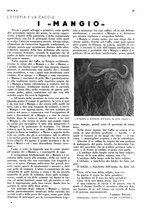 giornale/LO10010767/1936/unico/00000029