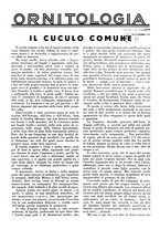 giornale/LO10010767/1936/unico/00000109