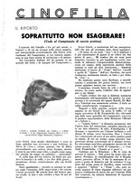 giornale/LO10010767/1936/unico/00000280