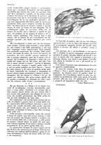 giornale/LO10010767/1936/unico/00000323