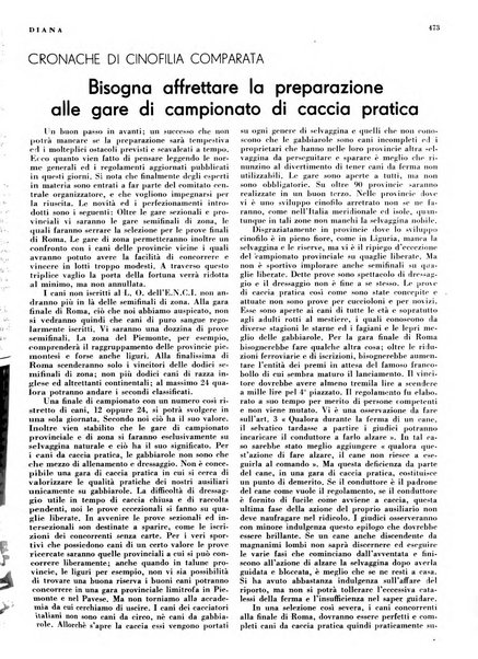 Diana rivista venatoria quindicinale