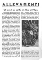 giornale/LO10010767/1936/unico/00000513