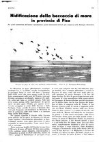 giornale/LO10010767/1936/unico/00000541