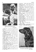 giornale/LO10010767/1936/unico/00000566