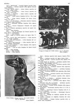 giornale/LO10010767/1936/unico/00000567