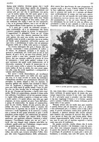 giornale/LO10010767/1936/unico/00000601