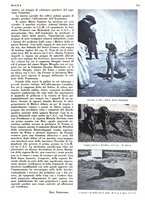giornale/LO10010767/1936/unico/00000617