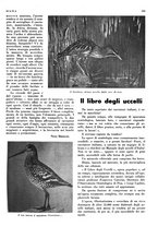 giornale/LO10010767/1936/unico/00000707