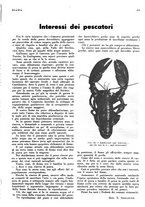 giornale/LO10010767/1936/unico/00000723