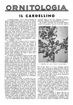 giornale/LO10010767/1936/unico/00000855